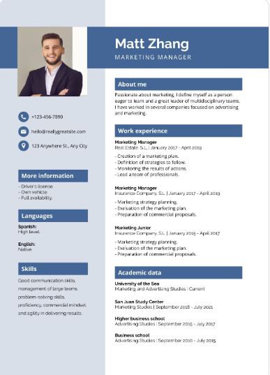 Professional CV Sample 9